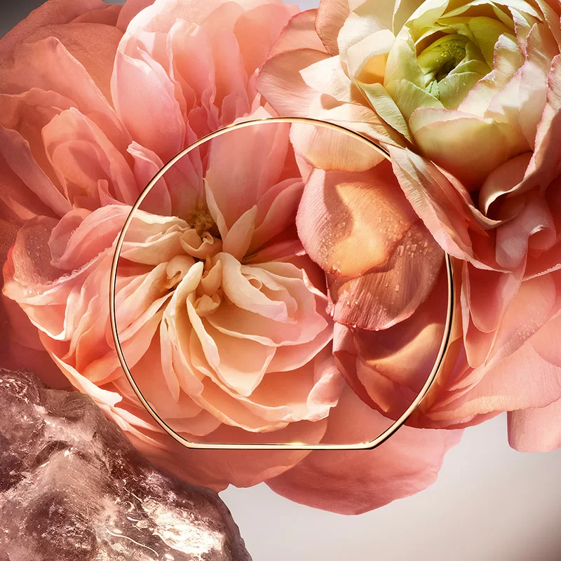 1001 Roses