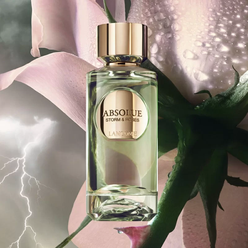 Storm & Roses