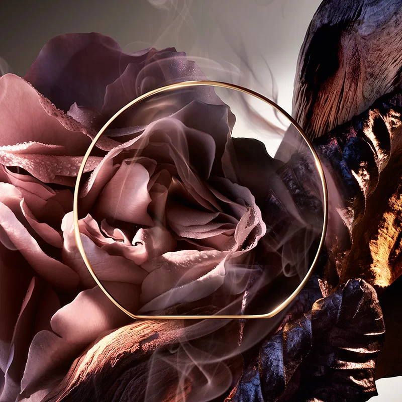 Rose Or Die
